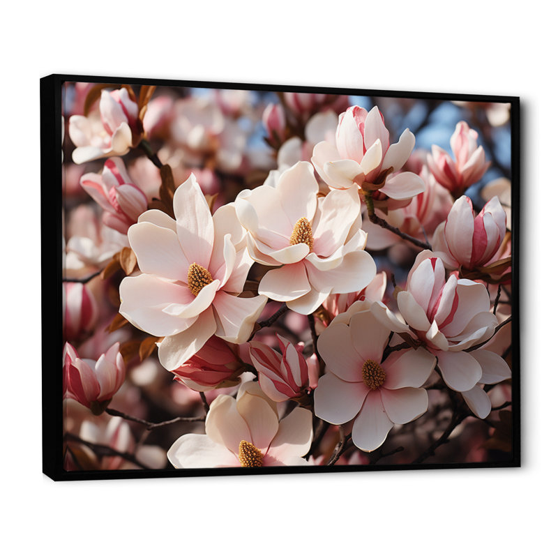 «White Pink Magnolias Field Vibrant I», reproduction d'art sur toile, 30" H x 40" W, Cadre flottant noir