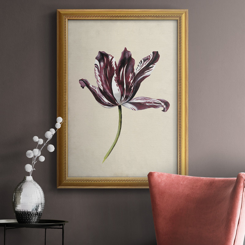 «Antique Tulip Study IV», toile encadrée de qualité supérieure - prête à être accrochée, H 27 po x l 18 po x P 2,5 po
