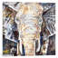 Elephant's Gaze by James Grey - Painting on Canvas-101416037-42161179