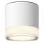 Ottawa 1 - Light Flush Mount-204313541