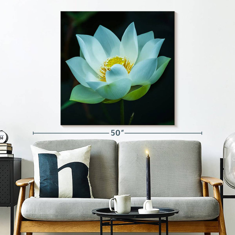 Harnek Lotus at Dawn