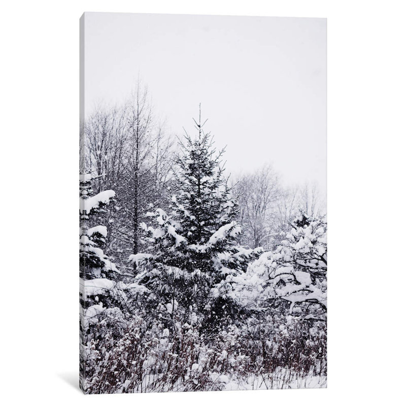 Winter Pines by Chelsea Victoria - Print on Canvas, 66.04 cm H x 45.72 cm W, White Floater Framed