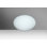 Mankin Opal 1 - Bulb Outdoor Flush Mount