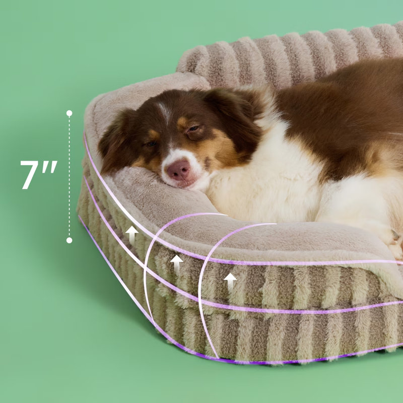 Lit pour chien Lesure, lit orthopédique imperméable pour animaux de compagnie avec côtés, fond antidérapant à haut dossier et canapé en mousse pour caisse d'œufs avec housse amovible et lavable