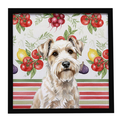 Sealyham Terrier Légumes, impression sur métal encadrée