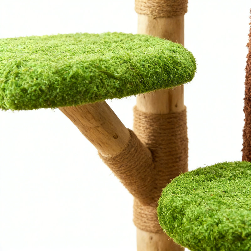 Arbre à chat ou condo Irmalinda, Vert / Burlywood / brun