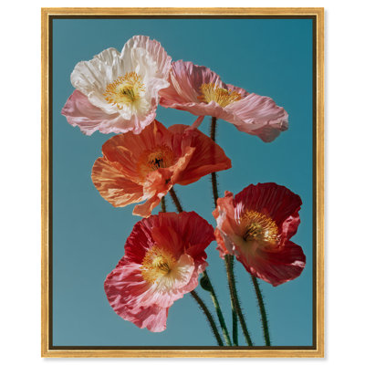 Poppy Bloom I Print by Oliver Gal