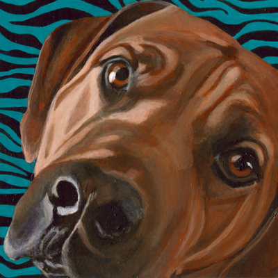 Dlynns Dogs - Bunsen by Dlynn Roll - Wrapped Canvas Painting