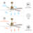 52" 5-Blade Modern LED Ceiling Fan with Light Kit and Remote Control-843147405