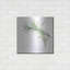 «Variegated Rosemary» par Chris Paschke-1536449220
