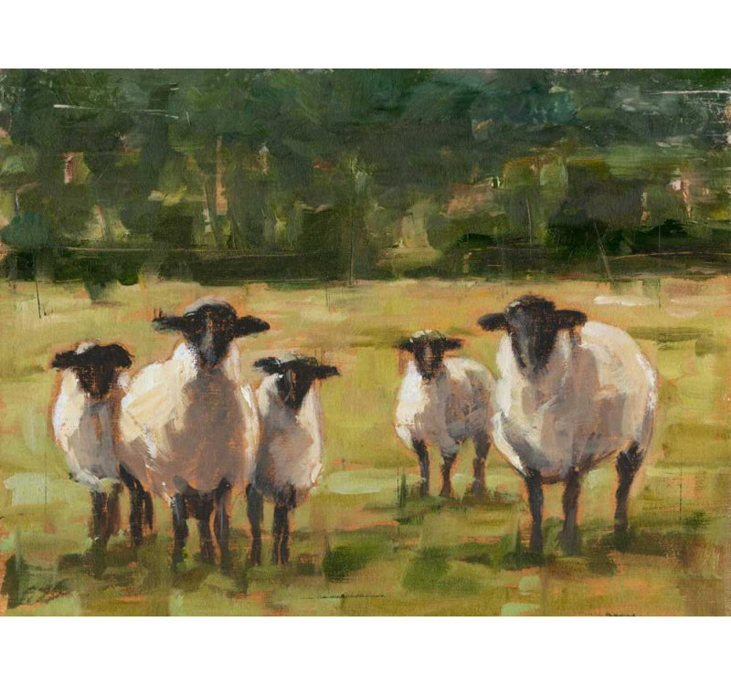 "August Grove", galerie Harper, Ethan, art sur toile tendue: Sheep Family I, H 36 po x l 47 po