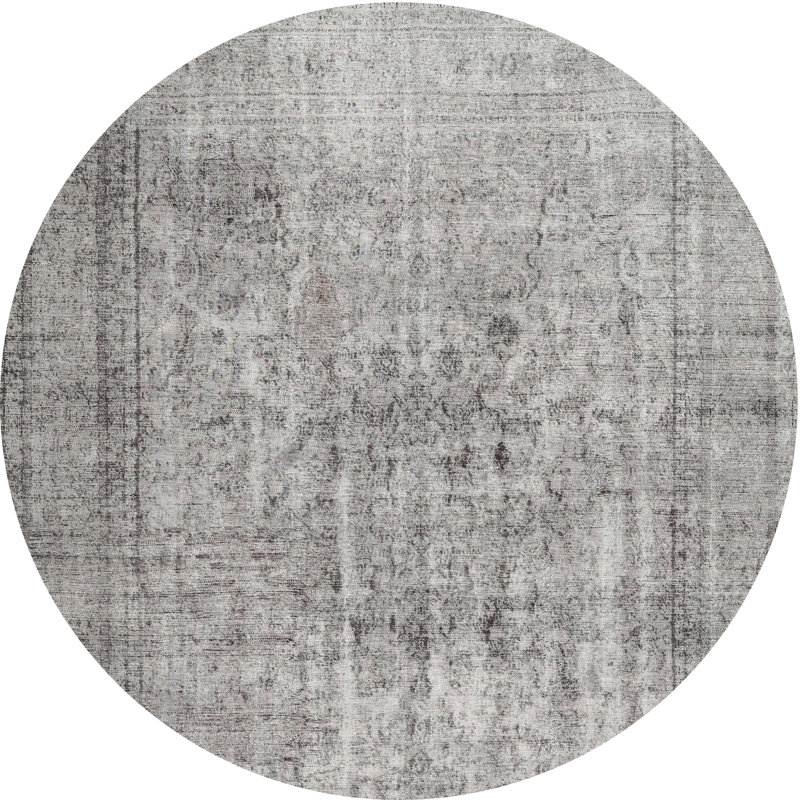Deen Indoor Rug, Round 6'