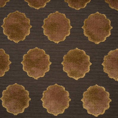 Claire Fabric