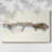 Driftwood Study I-Gallery Wrapped Canvas-578219043