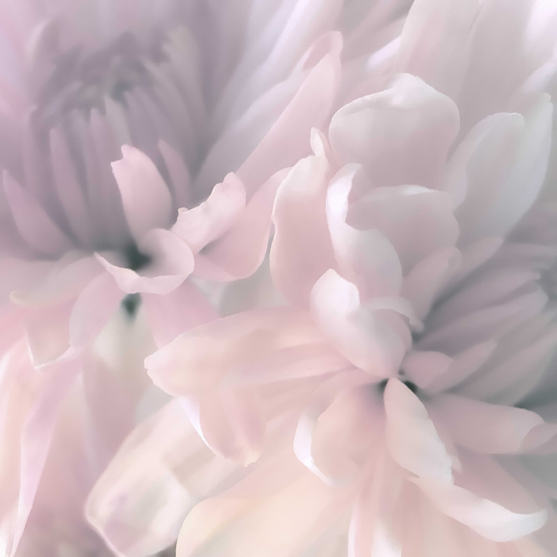 Motif floral abstrait rose clair, H 12 po x l 12 po