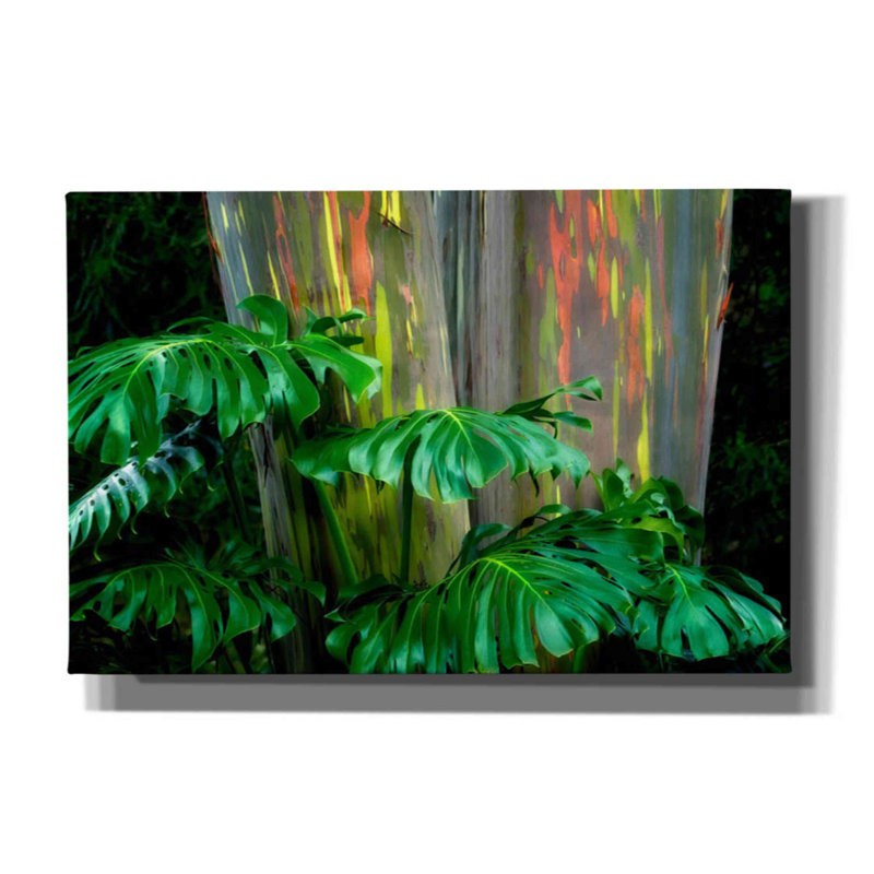 «Tropical Leaves» par Dennis Frates - reproduction de photo sur toile tendue, H 12 po x l 18 po x P 0,75 po