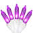 Purple/White