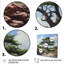 African Safari Tree Bliss I - Art mural arbre-61102645-61102644