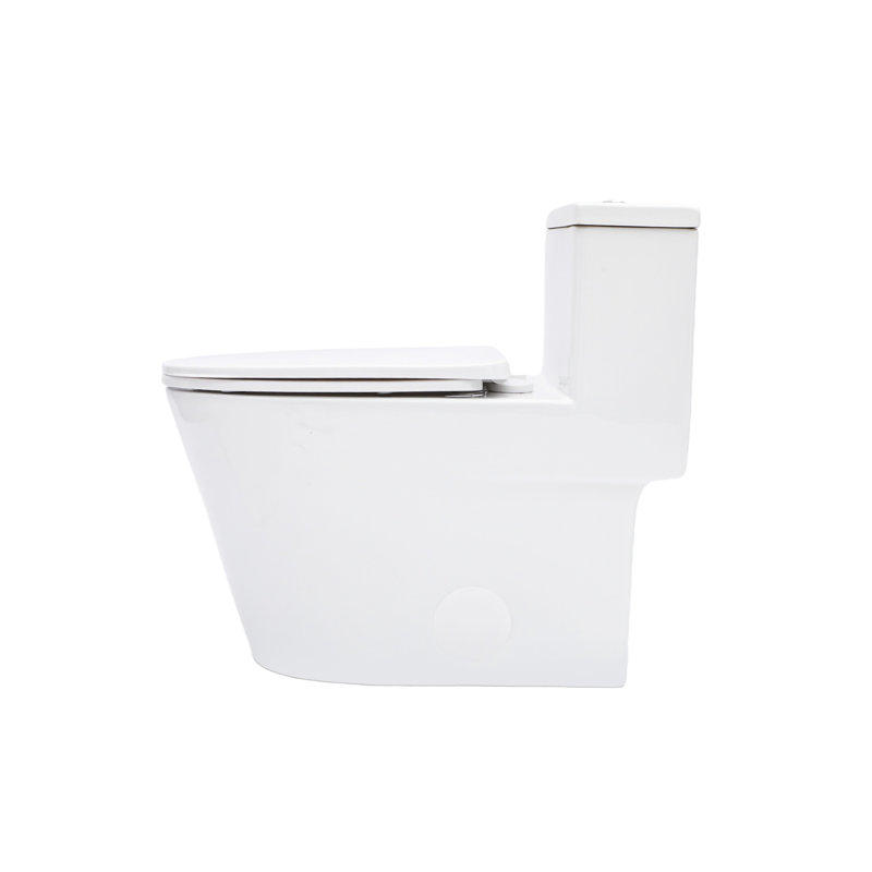 One Piece Ceramic Toilet 12 - Inch Rough In, Dual Flush 1.24/1.43 , Soft Close Seat, 800G Map Rating, Non Porous Surface For Low Maintenance With Flush, Body
