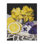 «Daffodils & Lemons Still Life», art mural par Mardell Schuster