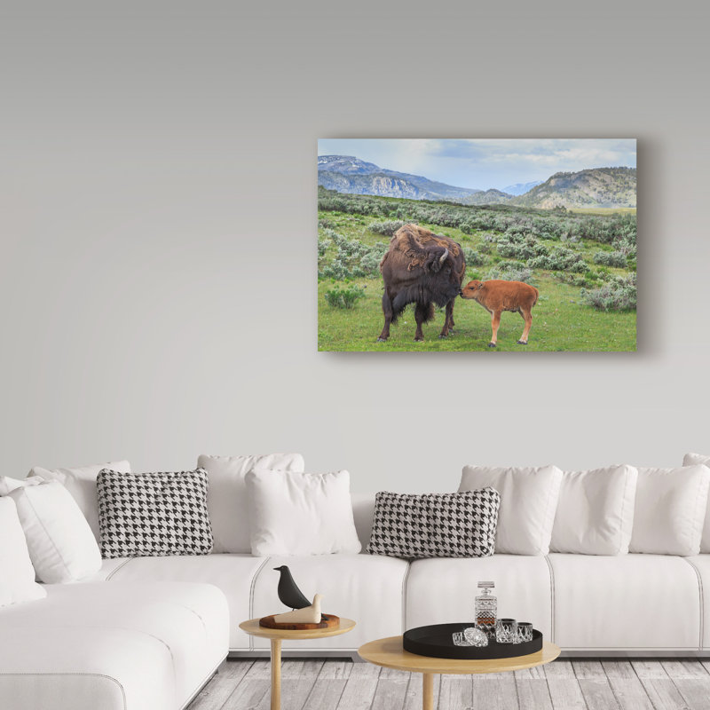 «Bison and Calf» de Fillmer, reproduction de photo sur toile tendue, H 12 po x l 19 po x P 2 po