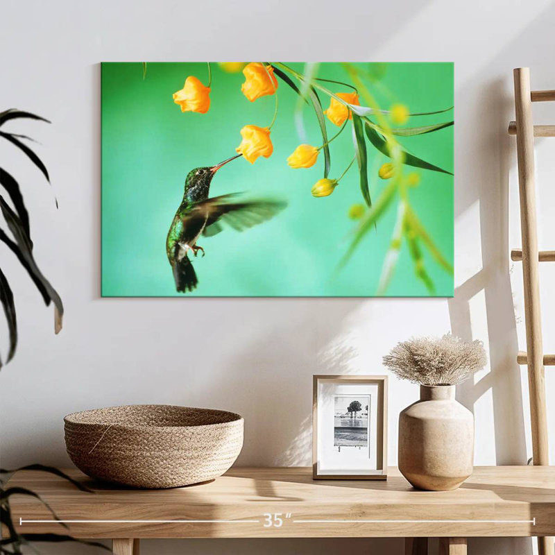 Thirsty Hummingbird, 16" H x 24" W