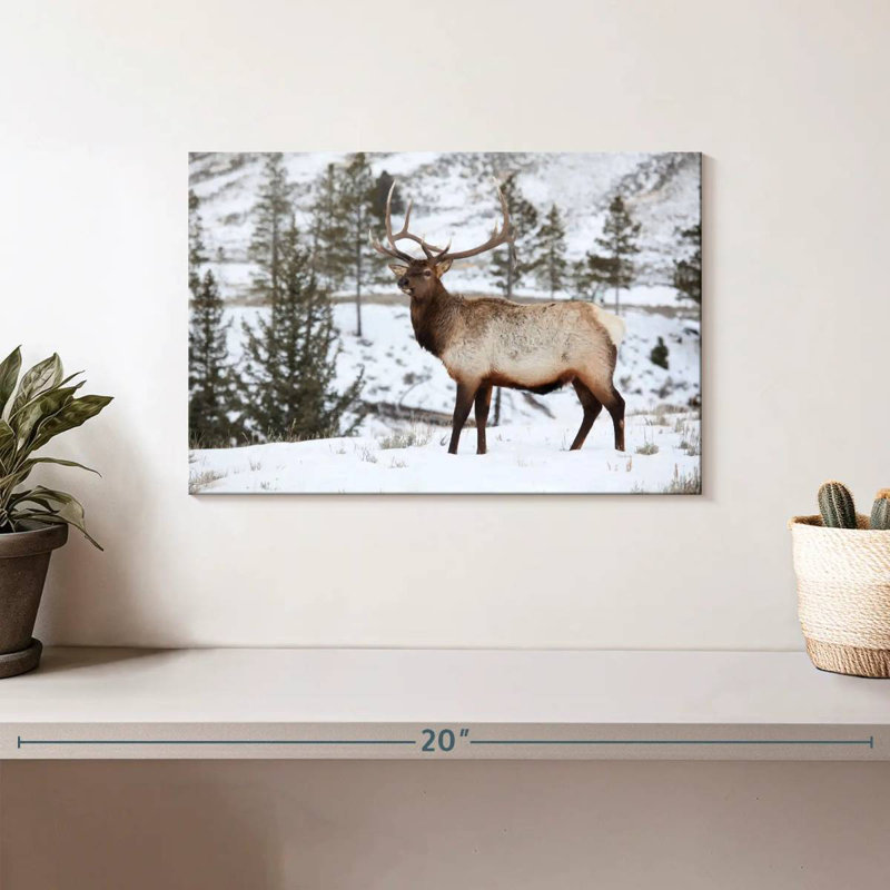Winter Bull Elk, 8" H x 12" W
