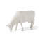 Animals Life Cow Statue