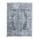 Boylan Oriental Indoor Rug