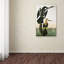 «Black-Bills Darter» par John James Audubon - reproduction sur toile-1398315341