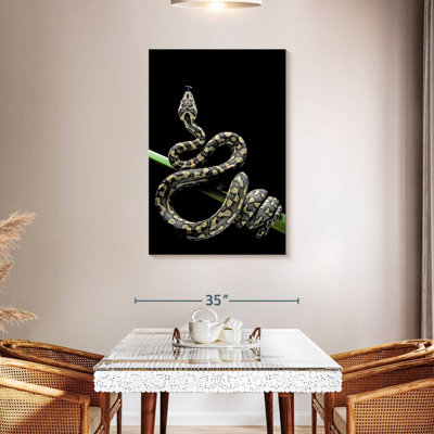 Poised Carpet Python