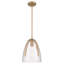Mini-luminaire suspendu 1 lumière Whitmore-126075886