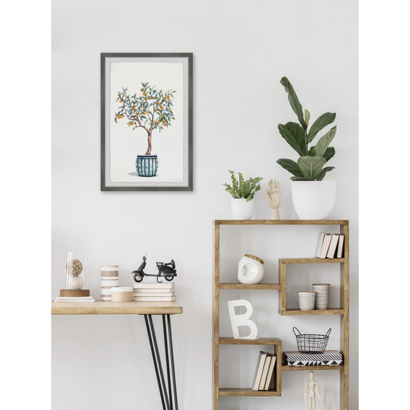 «Bonsai Orange Tree», reproduction encadrée, H 12 po x l 8 po