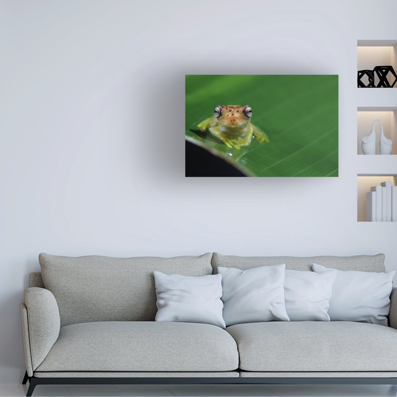 Art sur toile «Bachelor», Nicolas, H 12 po x l 19 po
