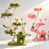 Red+Green est en rupture de stock
