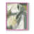 Pink is unavailable