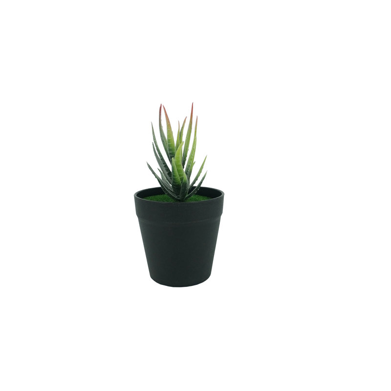 3,5 po x 3,5 po x 7 po de diamètre avec plante grasse verte artificielle Aloe Vera