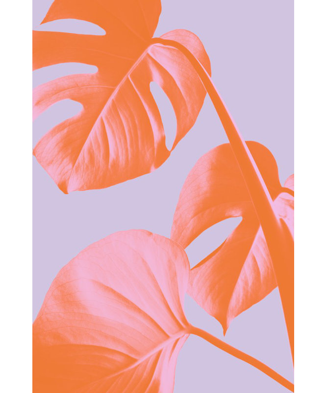 Monstera 03, 76.2cm H x 50.8cm W