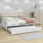 Jaye Wooden Daybed with Twin Size Trundle-162183905-162183904