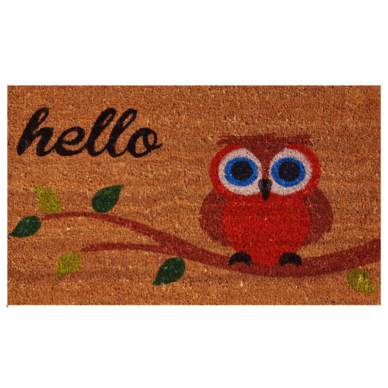 Tapis d'entrée antidérapant Armonk Owl Hello 29 po x 17 po