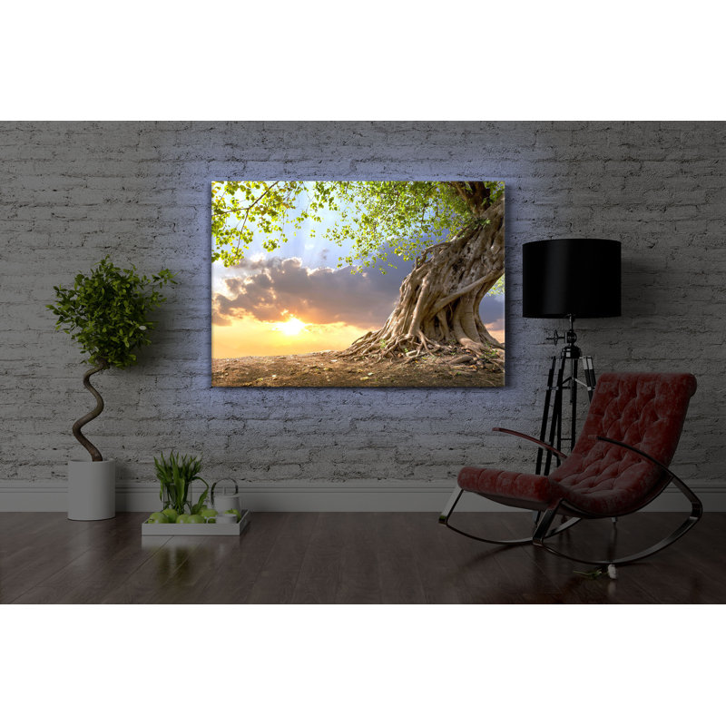 Rooted Strong Tree At Sunset by No - Wrapped Canvas Print, 70cm H x 100cm W x 4.5cm D, With lighting
