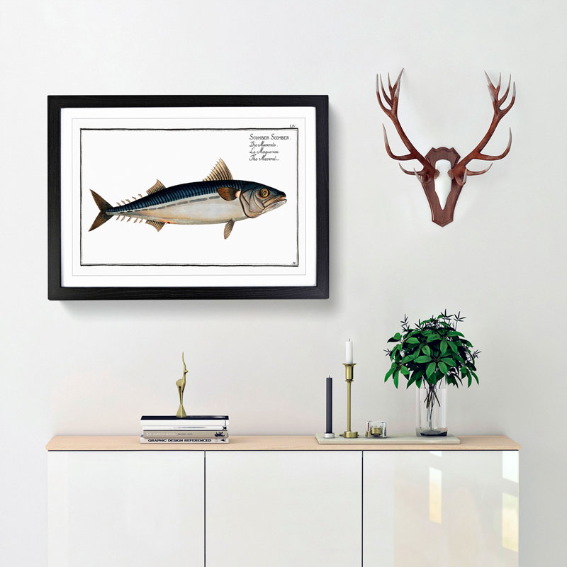 Mackerel Fish by M.E. Bloch - Framed Print, 27cm H x 36cm W x 2cm D, Black Framed
