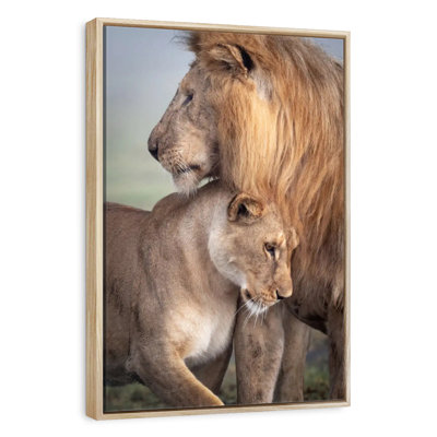 Amour sauvage