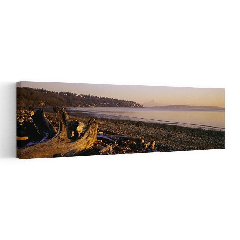 Bois flottant sur la plage, parc de découverte, Mont Rainier, Seattle, comté de King, Washington State, États-Unis