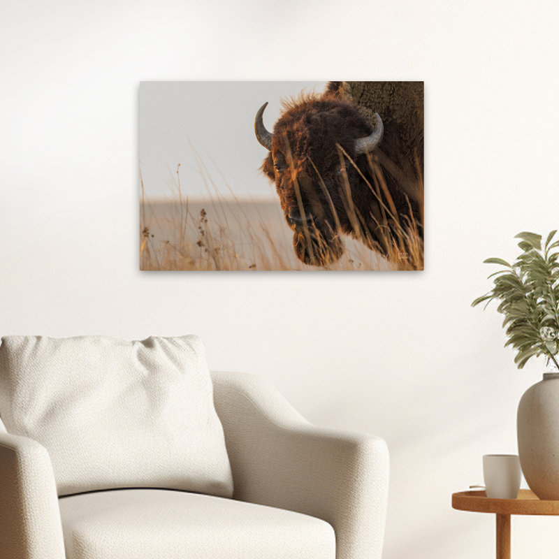 Coucher de soleil contemporain Bison, H 24 po x l 16 po