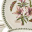 Botanic Garden 12 Piece Dinnerware Set