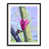 Black Framed Paper selected