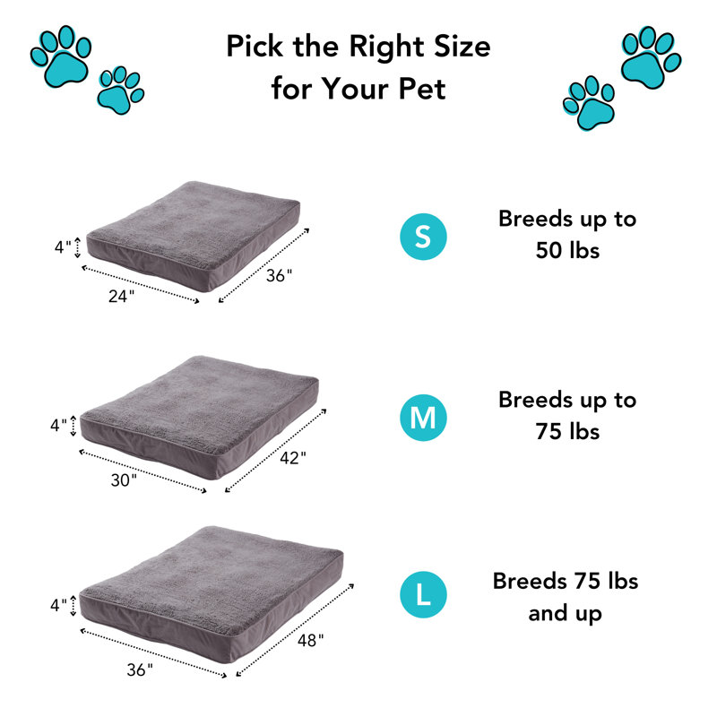 Lit pour chien avec coussin de soutien, Cramoisi, Petit (l 36 po x P 24 po x H 4 po)