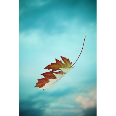Faling Red Autumn Leaf - Wrapped Canvas Art Prints