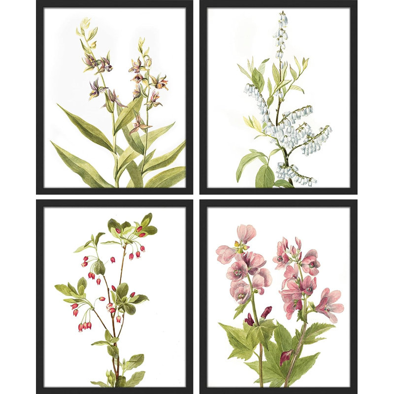 «Forest Wildflowers», reproduction encadrée de 4 pièces, Cadre noir, H 14 po x l 11 po x P 1 po